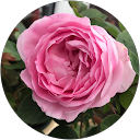 Christine Linton profile picture